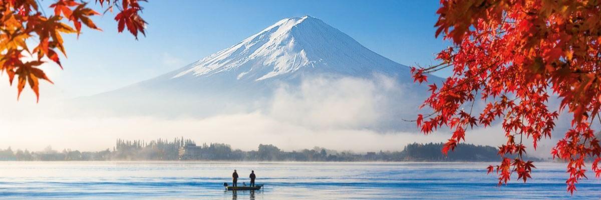 Exclusively for Solo Travelers - Japan Revealed